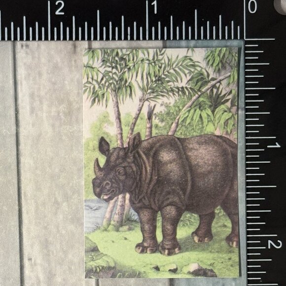 ๐10/$10๐ Classic Grassland Animals Reusable Washi Sticker Decal - Picture 1 of 1